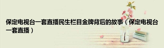 保定電視臺(tái)一套直播民生欄目金牌背后的故事（保定電視臺(tái)一套直播）