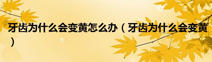 牙齒為什么會變黃怎么辦（牙齒為什么會變黃）