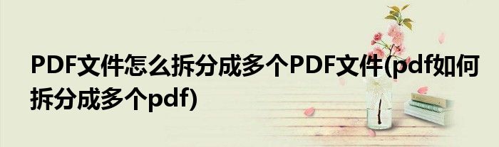 PDF文件怎么拆分成多個PDF文件(pdf如何拆分成多個pdf)