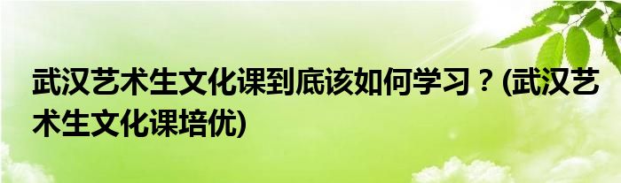 武漢藝術生文化課到底該如何學習？(武漢藝術生文化課培優(yōu))