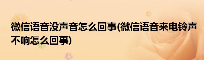 微信語(yǔ)音沒(méi)聲音怎么回事(微信語(yǔ)音來(lái)電鈴聲不響怎么回事)
