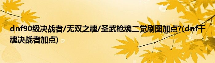 dnf90級(jí)決戰(zhàn)者/無雙之魂/圣武槍魂二覺刷圖加點(diǎn)?(dnf千魂決戰(zhàn)者加點(diǎn))