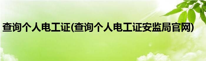 查詢個(gè)人電工證(查詢個(gè)人電工證安監(jiān)局官網(wǎng))