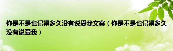 你是不是也記得多久沒(méi)有說(shuō)愛(ài)我文案（你是不是也記得多久沒(méi)有說(shuō)愛(ài)我）