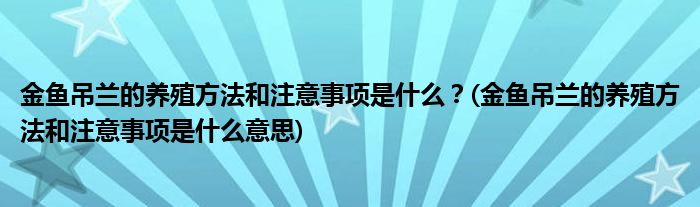 金魚吊蘭的養(yǎng)殖方法和注意事項(xiàng)是什么？(金魚吊蘭的養(yǎng)殖方法和注意事項(xiàng)是什么意思)