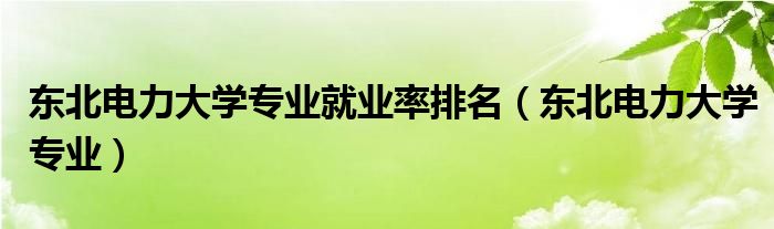東北電力大學專業(yè)就業(yè)率排名（東北電力大學專業(yè)）