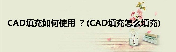 CAD填充如何使用 ？(CAD填充怎么填充)