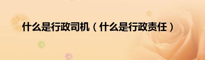 什么是行政司機(jī)（什么是行政責(zé)任）