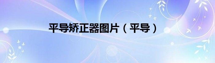 平導矯正器圖片（平導）