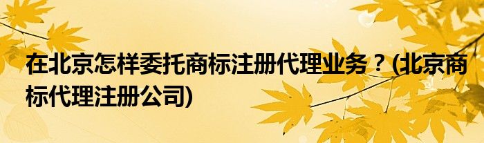 在北京怎樣委托商標(biāo)注冊代理業(yè)務(wù)？(北京商標(biāo)代理注冊公司)