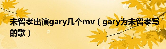 宋智孝出演gary幾個mv（gary為宋智孝寫的歌）