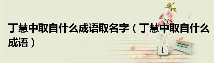 丁慧中取自什么成語取名字（丁慧中取自什么成語）