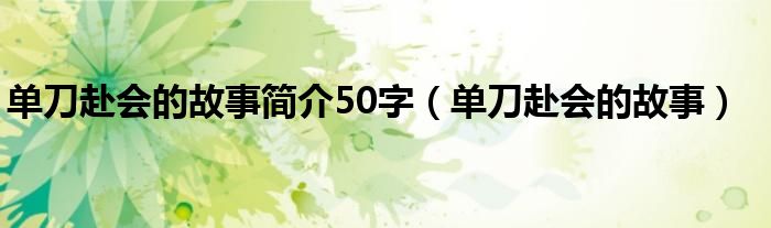 單刀赴會的故事簡介50字（單刀赴會的故事）