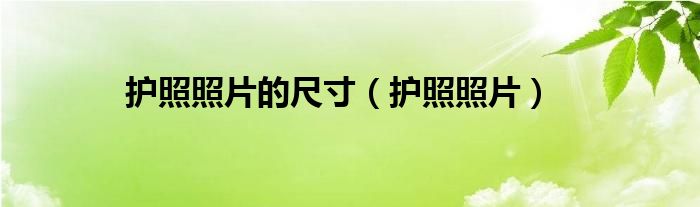 護照照片的尺寸（護照照片）