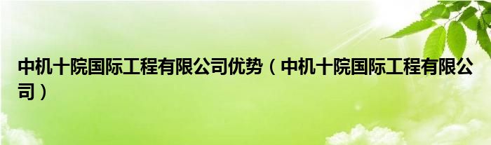 中機(jī)十院國際工程有限公司優(yōu)勢（中機(jī)十院國際工程有限公司）