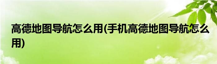 高德地圖導(dǎo)航怎么用(手機高德地圖導(dǎo)航怎么用)