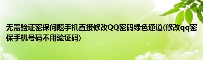 無需驗(yàn)證密保問題手機(jī)直接修改QQ密碼綠色通道(修改qq密保手機(jī)號(hào)碼不用驗(yàn)證碼)