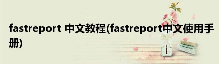 fastreport 中文教程(fastreport中文使用手冊)