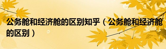 公務艙和經濟艙的區(qū)別知乎（公務艙和經濟艙的區(qū)別）