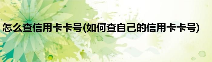 怎么查信用卡卡號(如何查自己的信用卡卡號)