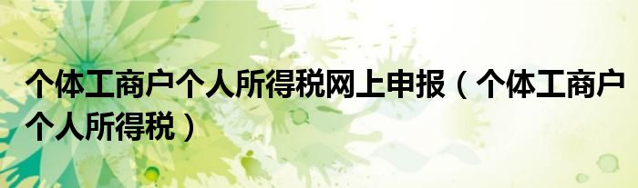 個體工商戶個人所得稅網上申報（個體工商戶個人所得稅）
