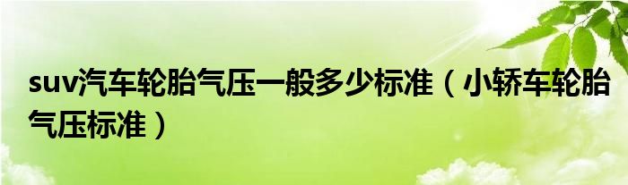 suv汽車輪胎氣壓一般多少標(biāo)準（小轎車輪胎氣壓標(biāo)準）
