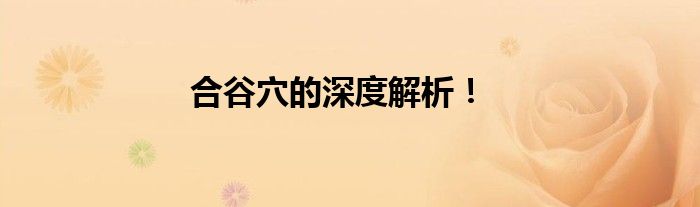 合谷穴的深度解析！