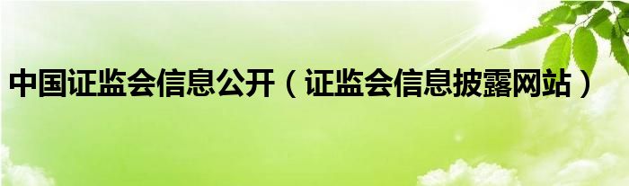 中國證監(jiān)會信息公開（證監(jiān)會信息披露網(wǎng)站）
