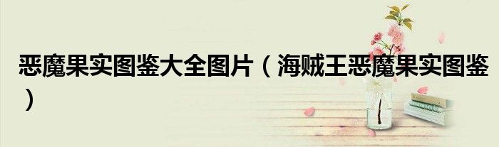 惡魔果實(shí)圖鑒大全圖片（海賊王惡魔果實(shí)圖鑒）