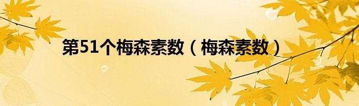 第51個(gè)梅森素?cái)?shù)（梅森素?cái)?shù)）