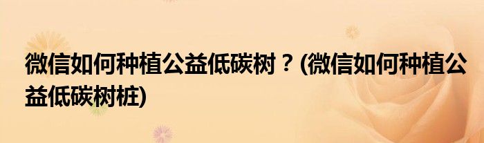 微信如何種植公益低碳樹？(微信如何種植公益低碳樹樁)