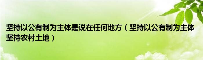 堅(jiān)持以公有制為主體是說在任何地方（堅(jiān)持以公有制為主體 堅(jiān)持農(nóng)村土地）