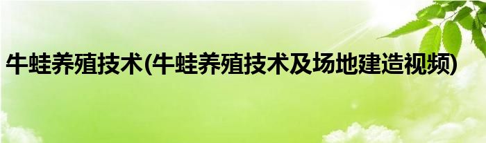 牛蛙養(yǎng)殖技術(shù)(牛蛙養(yǎng)殖技術(shù)及場(chǎng)地建造視頻)