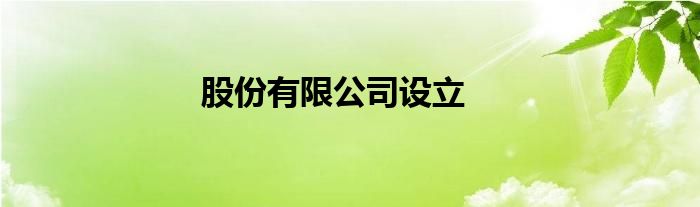 股份有限公司設(shè)立
