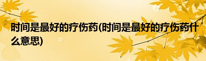 時(shí)間是最好的療傷藥(時(shí)間是最好的療傷藥什么意思)