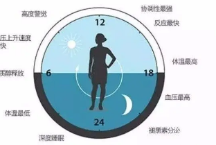 研究揭示了細胞水平上睡眠需求的驅(qū)動因素