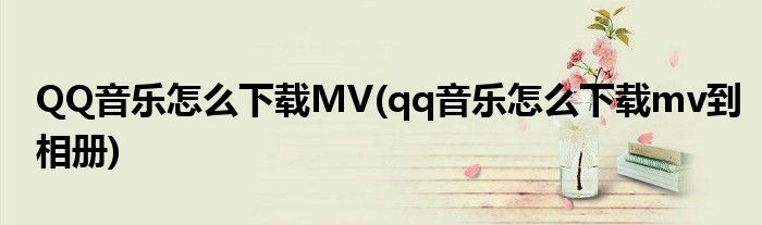 QQ音樂怎么下載MV(qq音樂怎么下載mv到相冊)