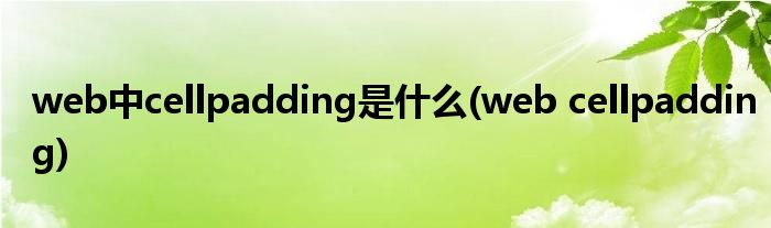 web中cellpadding是什么(web cellpadding)