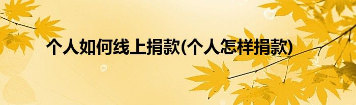 個(gè)人如何線上捐款(個(gè)人怎樣捐款)