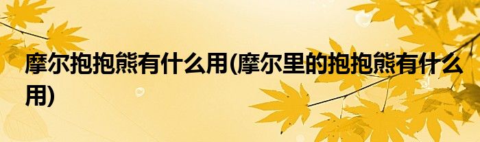 摩爾抱抱熊有什么用(摩爾里的抱抱熊有什么用)