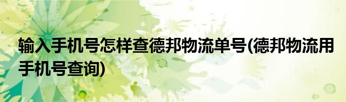輸入手機(jī)號怎樣查德邦物流單號(德邦物流用手機(jī)號查詢)