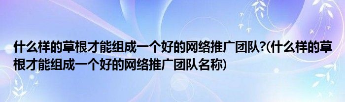 什么樣的草根才能組成一個好的網(wǎng)絡(luò)推廣團隊?(什么樣的草根才能組成一個好的網(wǎng)絡(luò)推廣團隊名稱)