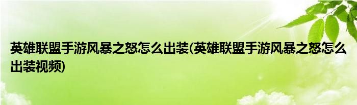 英雄聯(lián)盟手游風(fēng)暴之怒怎么出裝(英雄聯(lián)盟手游風(fēng)暴之怒怎么出裝視頻)