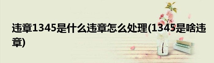 違章1345是什么違章怎么處理(1345是啥違章)