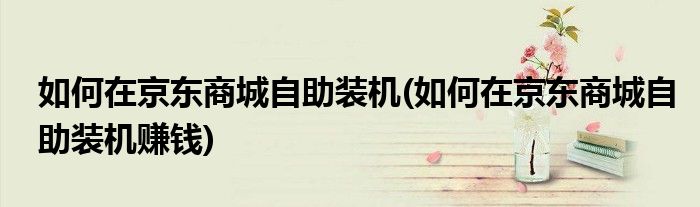 如何在京東商城自助裝機(jī)(如何在京東商城自助裝機(jī)賺錢(qián))