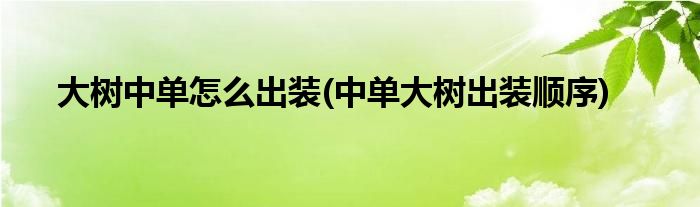 大樹中單怎么出裝(中單大樹出裝順序)