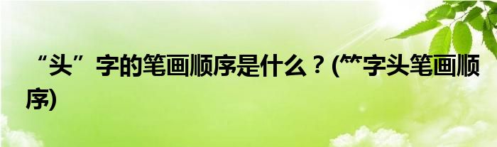 “頭”字的筆畫順序是什么？(?字頭筆畫順序)