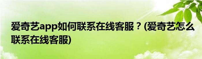 愛奇藝app如何聯(lián)系在線客服？(愛奇藝怎么聯(lián)系在線客服)