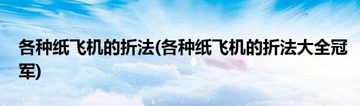 各種紙飛機的折法(各種紙飛機的折法大全冠軍)