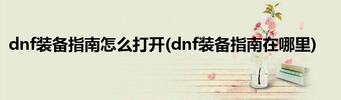 dnf裝備指南怎么打開(dnf裝備指南在哪里)